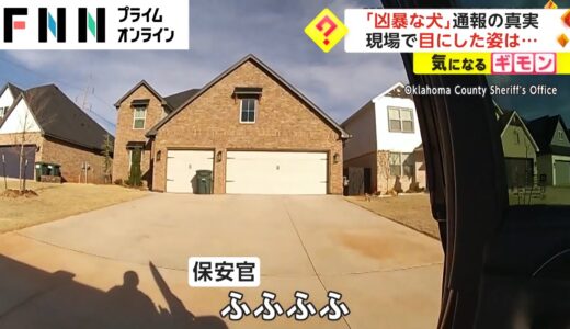 「凶暴な犬」通報の真実　現場で目にした姿は...(2023/03/31)