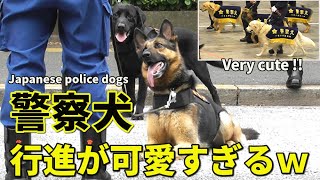 警察犬のオフショットが可愛すぎる!! 警視庁 千葉県警 警察犬特集!! Very cute!!  Japanese police dogs