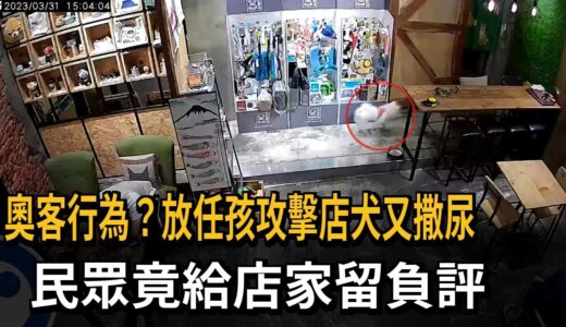 奧客行為？放任孩攻擊店犬又撒尿　民眾竟給店家留負評－民視新聞