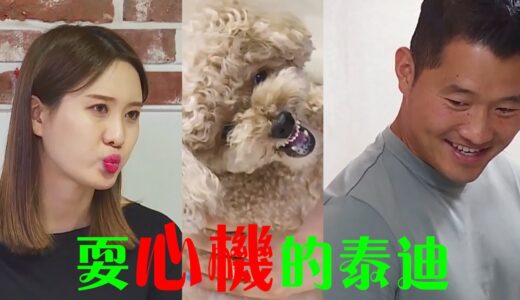 泰迪整天耍心機咬主人，被訓犬師指出問題的關鍵點