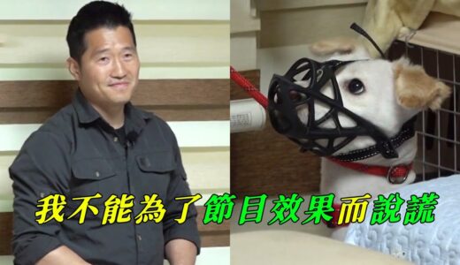 混種犬差點讓主人毀容，姜訓犬師苦口婆心勸主人送走惡犬，結果並不圓滿