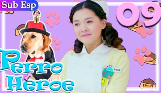 【Sub Español】Perro Héroe EP09 | Hero Dog | 神犬小七