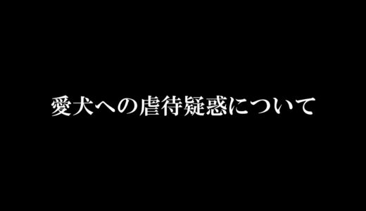 【ご報告】愛犬への虐待疑惑について