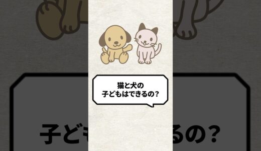 Q：猫と犬の子どもってできるの？