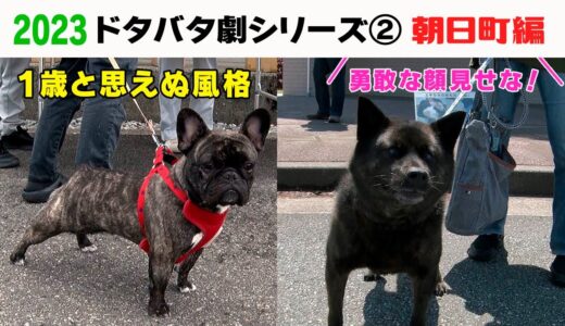 2023狂犬病予防注射会場のドタバタ劇②朝日町編