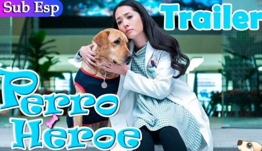 【Sub Español】 ¡Trailer!  ▶ Hero Dog | 神犬小七