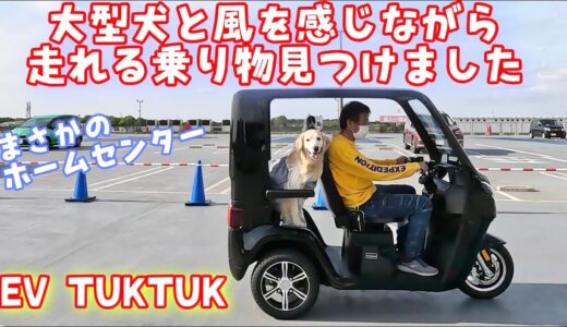 【EV TUKTUK neo】大型犬と風を感じながら走れる乗り物見つけました