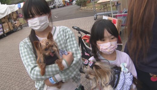 ４年ぶりのワンダフルとちぎ　犬などのかわいいペットたちが大集合