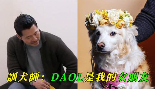 向愛犬說再見有多困難，姜訓犬師和愛犬Daol的故事（從相遇到離別，催人淚下）