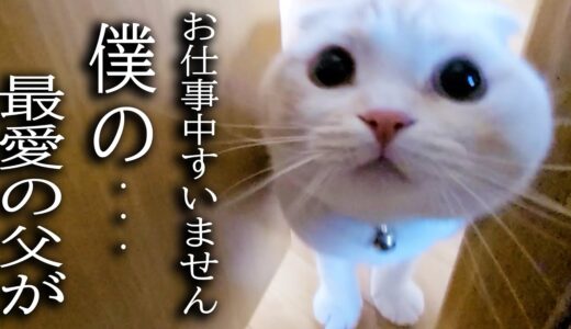 犬の異変に気づき秒で知らせにきた猫について行くと…