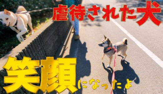 兄犬の真似をしたい妹アッチャンか挑戦してみました。