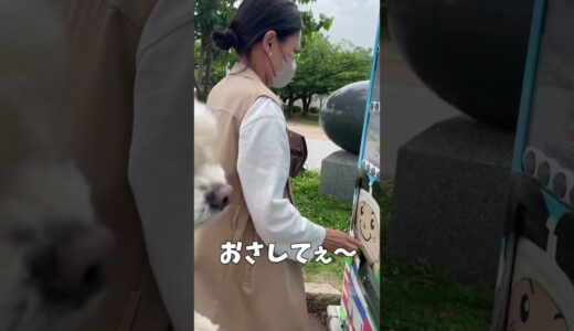 初めて自動販売機で買い物した犬 【関西弁でしゃべる犬】#426 The first dog to buy from a vending machine 【Dog talking 】 #shorts