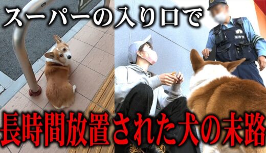 【許せない】犬を置き去りにした飼い主の理由が理解不能だった