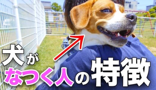 【知って得する】犬に懐かれる人の特徴12選！