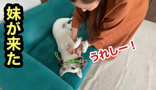 大好きな妹が遊びにきた時の犬の大興奮をおさめた記録です