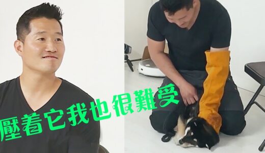 訓犬師再次遭遇犟種柴犬，但是訓練過程中他表示心裡非常難受