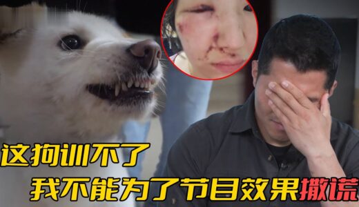 姜訓犬師拒絕訓練！惡犬把孩子咬到毀容，當媽的卻不願把狗送走