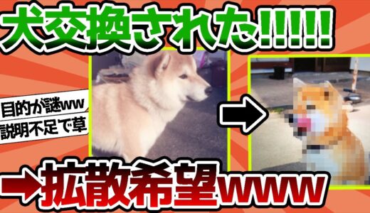 【2ch動物スレ】「犬交換された　拡散してください」　←　犬交換はさすがに草ｗｗｗｗｗ