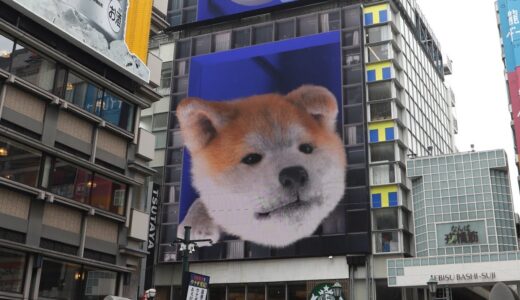 大阪・道頓堀で秋田犬が飛び出す3D映像