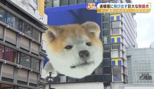 道頓堀で『巨大な秋田犬』が飛び出す３Ｄ看板！かに道楽の店長も「新旧でいいかなと」（2023年6月28日）