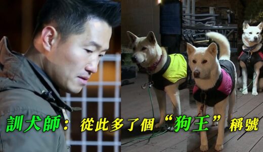 訓犬師離間狗狗關係，收服兩小弟共同對抗狗幫主，訓練一波三折，狗王一戰成名