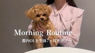 【モーニングルーティン】都内一人暮らしで犬を飼う独身OLの日常👠 |  生後7ヶ月の愛犬と過ごす幸せな朝🏠 | チワプー🧸 | morning routine ☀️