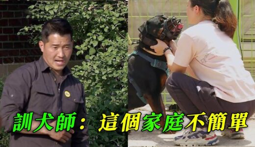 猛犬羅威納，被瘦弱的女主人拿捏，得知主人職業後，訓犬師選擇遙控訓犬