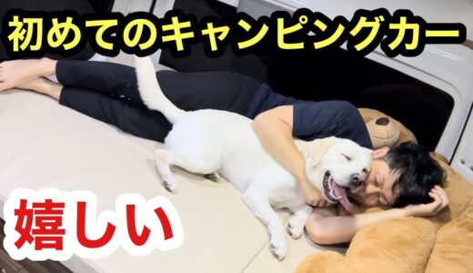 初めてキャンピングカーに乗った大型犬ラブラドールレトリバーも喜んでます