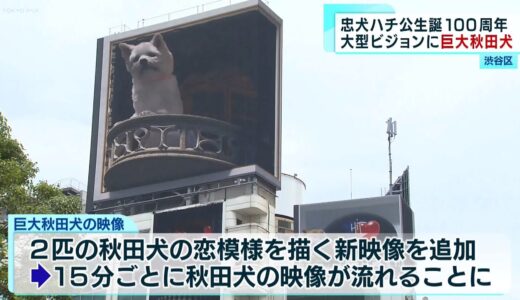 忠犬ハチ公生誕100周年大型ビジョンに巨大秋田犬