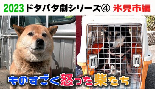 2023狂犬病予防注射会場のドタバタ劇④ 氷見市編