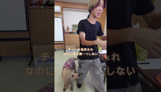 油まみれの犬に抱きつかれても嫌な顔一つしない新入社員の優しさ。