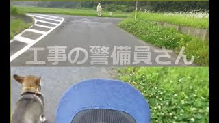 猫と犬「警備員さんと会った時の反応」