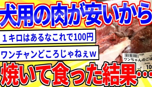 【2ch面白いスレ】犬用の肉がめっちゃ安かったから焼いて食うwww【ゆっくり解説】