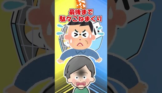 【2ch】友人から犬を預かっていた父が…【アニマル】 #Shorts