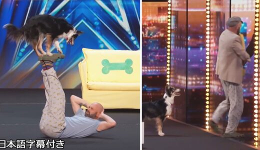 【和訳】犬のハリケーンは飼い主をお手伝い、そして独りになっても... | AGT 2023