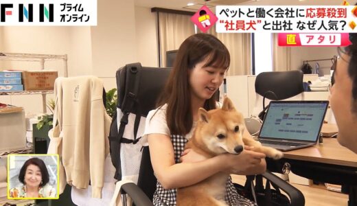 【直アタリ】ペットと働く会社に応募殺到　“社員犬”と出社 なぜ人気?