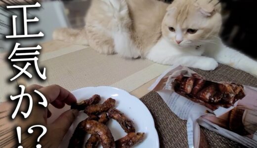 うんち直後の猫と犬の前でかりんとうを食べてみた結果...