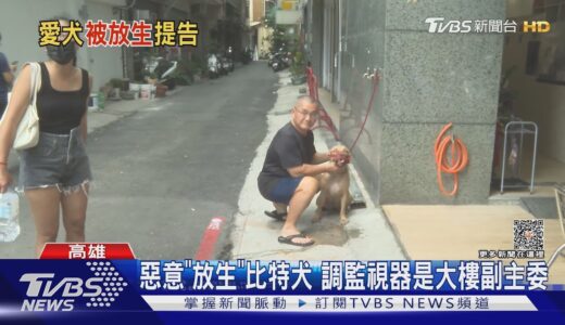 「放生」鄰居家比特犬!大樓副主委理由瞎 竟和媽祖有關…｜TVBS新聞 @TVBSNEWS01​