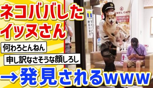 【2ch動物スレ】犬さん、イオンでネコババして捕まってしまうｗｗｗｗ