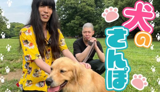 【夏休み】金属バット 犬の散歩【ゴールデンレトリバー】