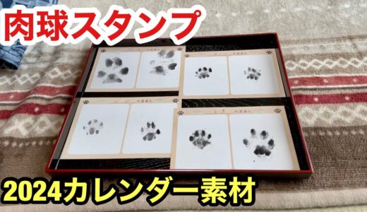 犬猫の足あとスタンプを採取しました【2024カレンダー用】