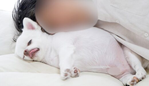 「パパうざい」はっきりした態度で示す犬からの辛いメッセージ