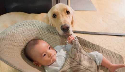 0歳児＆大型犬2頭と暮らす夫婦の朝が忙し過ぎるw【モーニングルーティーン】