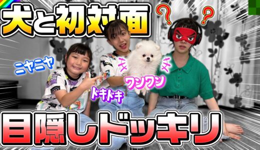 【ドッキリ】いとこの家に来たら犬がいたんだけど！？