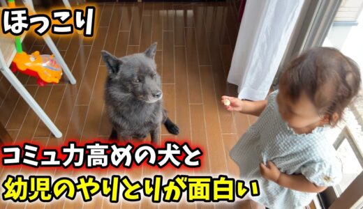 「子供が生まれたら犬を飼いなさい」の意味がよくわかりました【ほっこり】