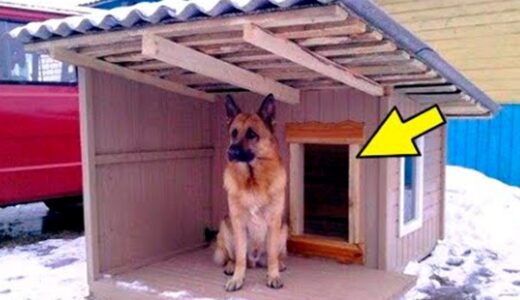 酷寒の中、もう２日も暖かい犬小屋に入らない犬。心配した飼い主が中を覗いてビックリ！