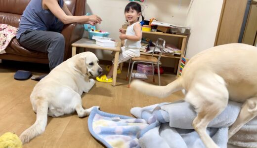 こちらが『童謡に合わせて舞う犬』でございます