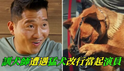 16個月大猛犬被鐵鍊束縛，訓犬師化身脫口秀演員，詮釋主人的過失，結果慘遭狗子排擠