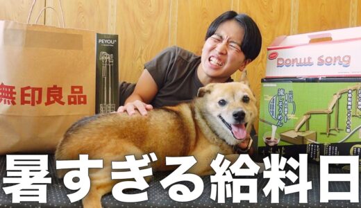 長年外飼いだった雑種犬コロちゃんと家族にお中元をあげたらこうなりました