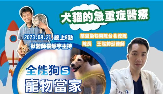 ‘23.08.21【全能狗S 寵物當家】王熙鈞獸醫師談「 犬貓的急重症醫療」